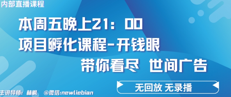 4.26日内部回放课程《项目孵化-开钱眼》赚钱的底层逻辑思达网创-思达私域联盟网思达网创-199sd.com