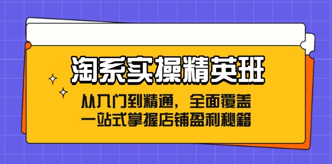 淘系实操精英班：从入门到精通，全面覆盖，一站式掌握店铺盈利秘籍