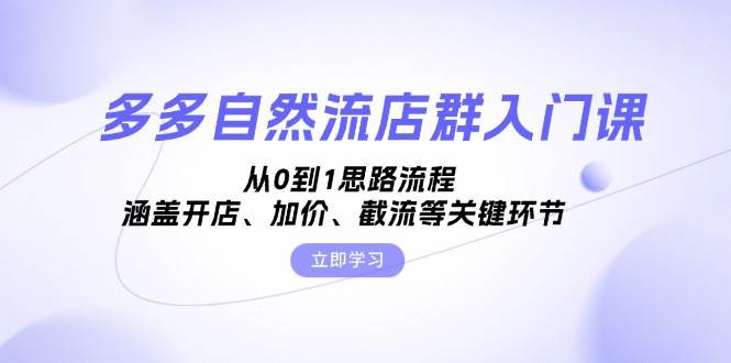 多多自然流店群入门课，从0到1思路流程，涵盖开店、加价、截流等关键环节