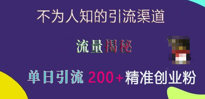 不为人知的引流渠道，流量揭秘，实测单日引流200+精准创业粉思达网创-思达私域联盟网思达网创-199sd.com