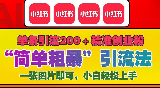 12月底小红书”简单粗暴“引流法，单条引流200+精准创业粉思达网创-思达私域联盟网思达网创-199sd.com