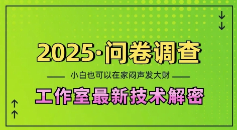 2025问卷调查最新工作室技术解密：一个人在家也可以闷声发大财，小白一天2张，可矩阵放大思达网创-思达私域联盟网思达网创-199sd.com