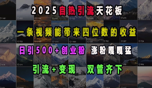 2025自热引流天花板，一条视频能带来四位数的收益，引流+变现双管齐下，日引500+创业粉，涨粉嘎嘎猛思达网创-思达私域联盟网思达网创-199sd.com