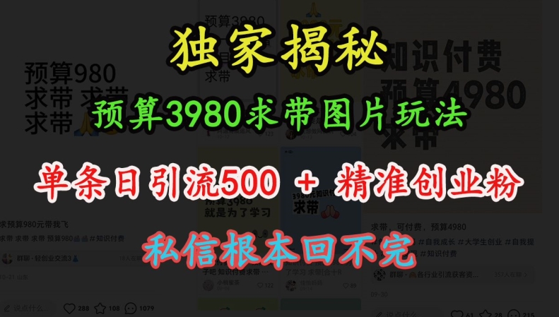 预算3980求带 图片玩法，单条日引流500+精准创业粉，私信根本回不完思达网创-思达私域联盟网思达网创-199sd.com