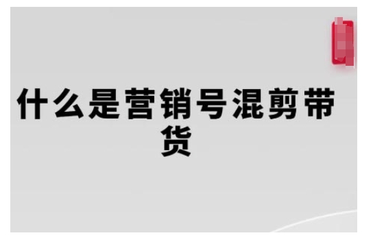 营销号混剪带货，从内容创作到流量变现的全流程，教你用营销号形式做混剪带货思达网创-思达私域联盟网思达网创-199sd.com