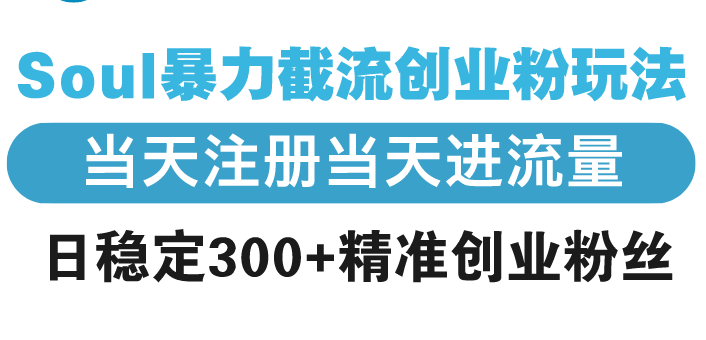 （13935期）Soul暴力截流创业粉玩法，当天注册当天进流量，日稳定300+精准创业粉丝思达网创-思达私域联盟网思达网创-199sd.com