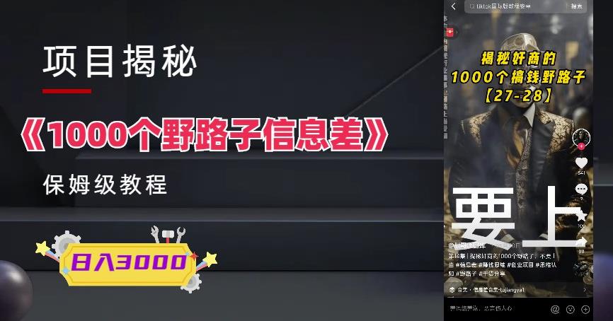 1000个野路子信息差保姆式教程-单日变现3000+的玩法解密